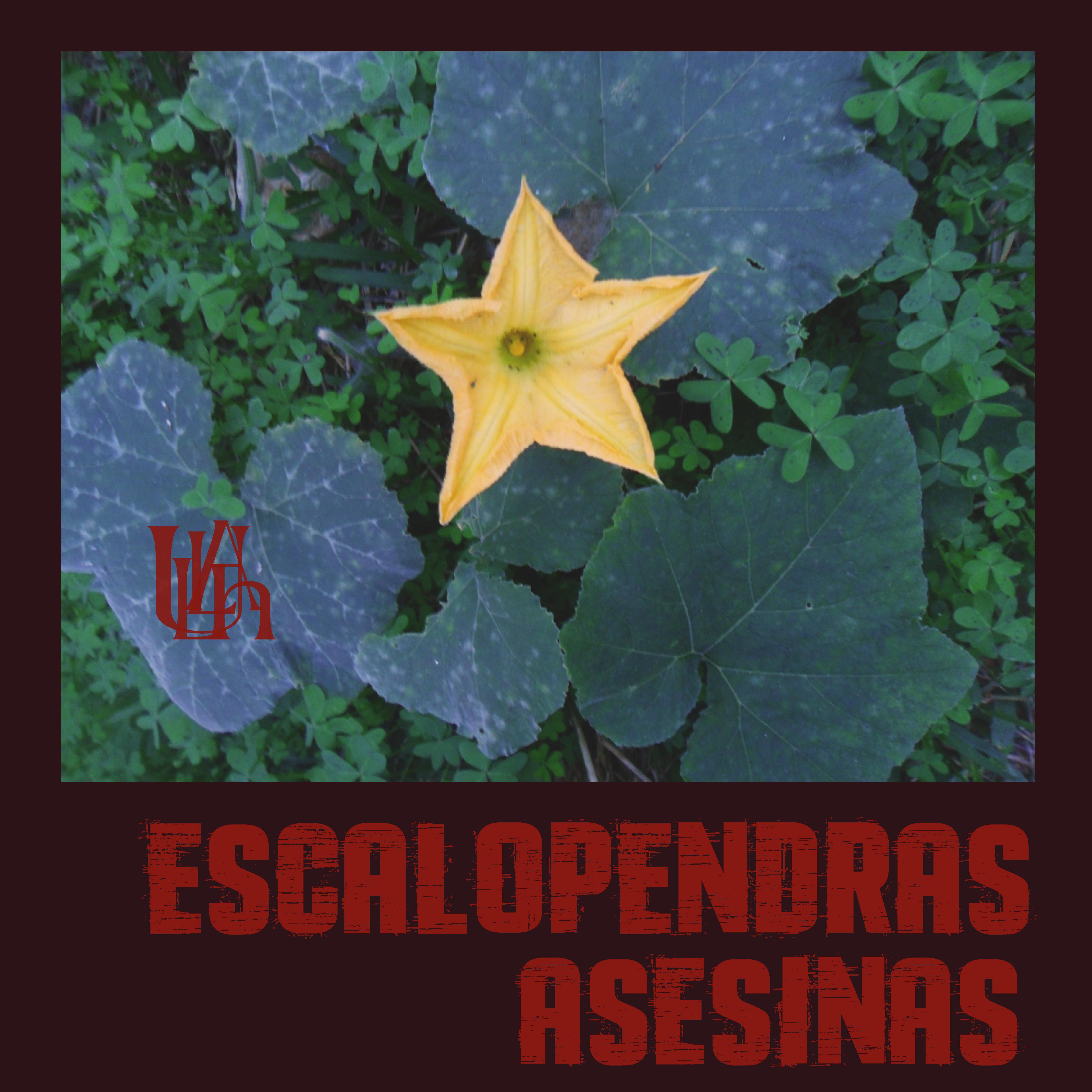 Escalopendras Asesinas